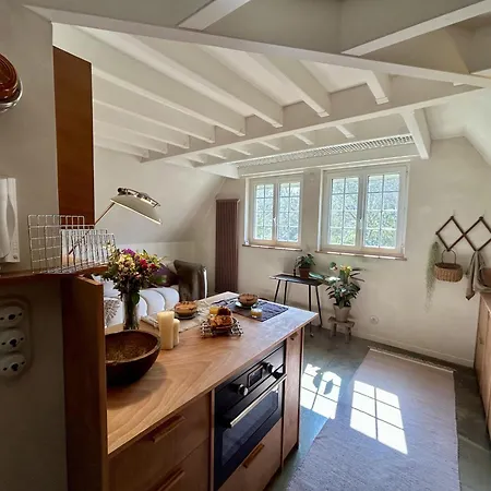 Nid Des Falaises * Варенжвиль-сюр-Мер