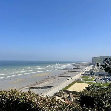 Nid Des Falaises