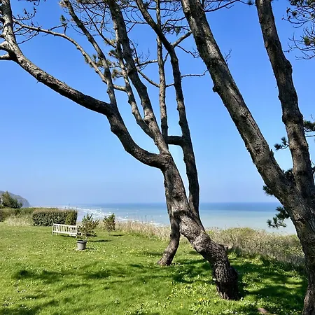 Nid Des Falaises *