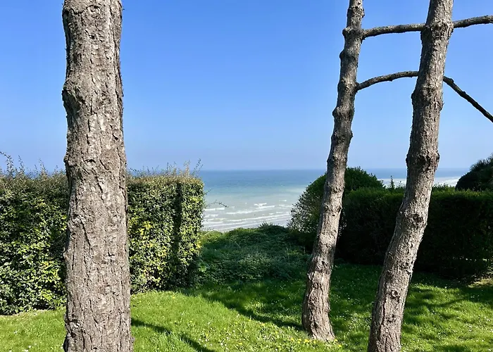 Nid Des Falaises Varengeville-sur-Mer